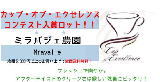 ホンジュラスＣＯＥ「ミラバジェ農園」販売開始です！