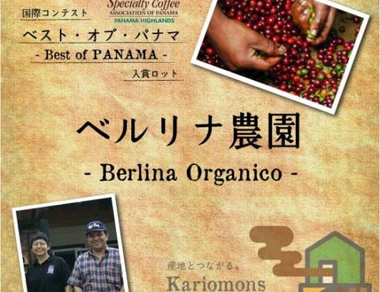 新しい豆を販売開始します。