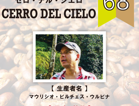 新しいコーヒー豆、続々と！