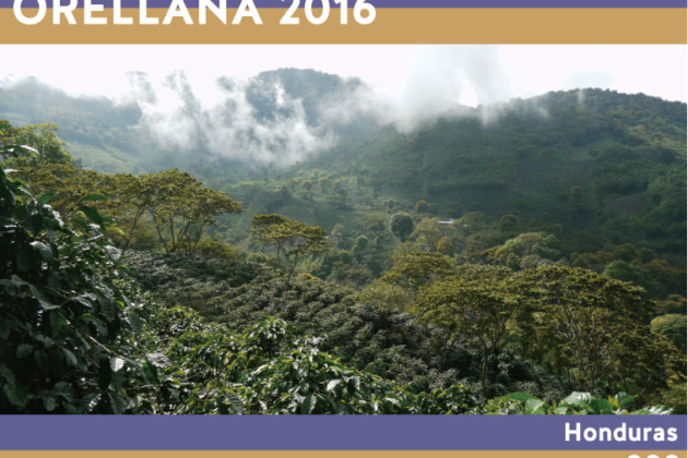 2016年ロットリリースです。