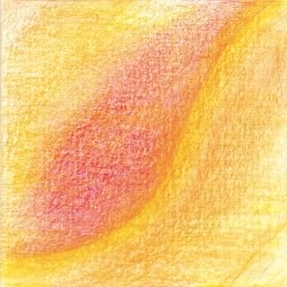 新しいコーヒー豆、続々！