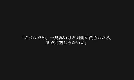 【声】008_ニカラグアにて
