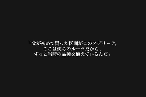 【声】016_ニカラグアにて