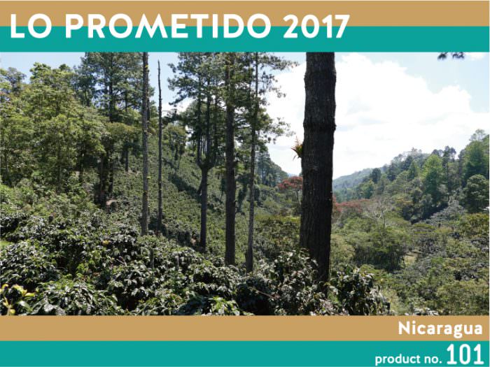 lp2017-top