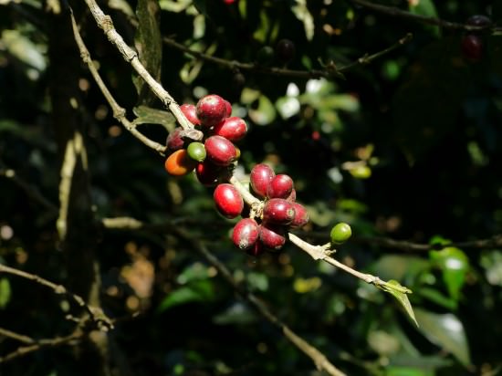 P1040954