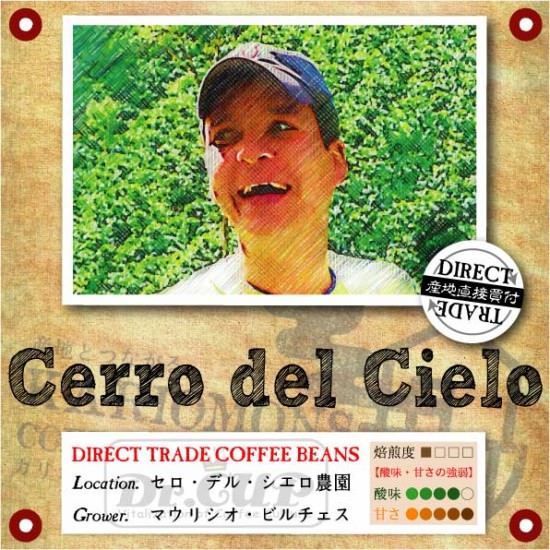 cerro-top